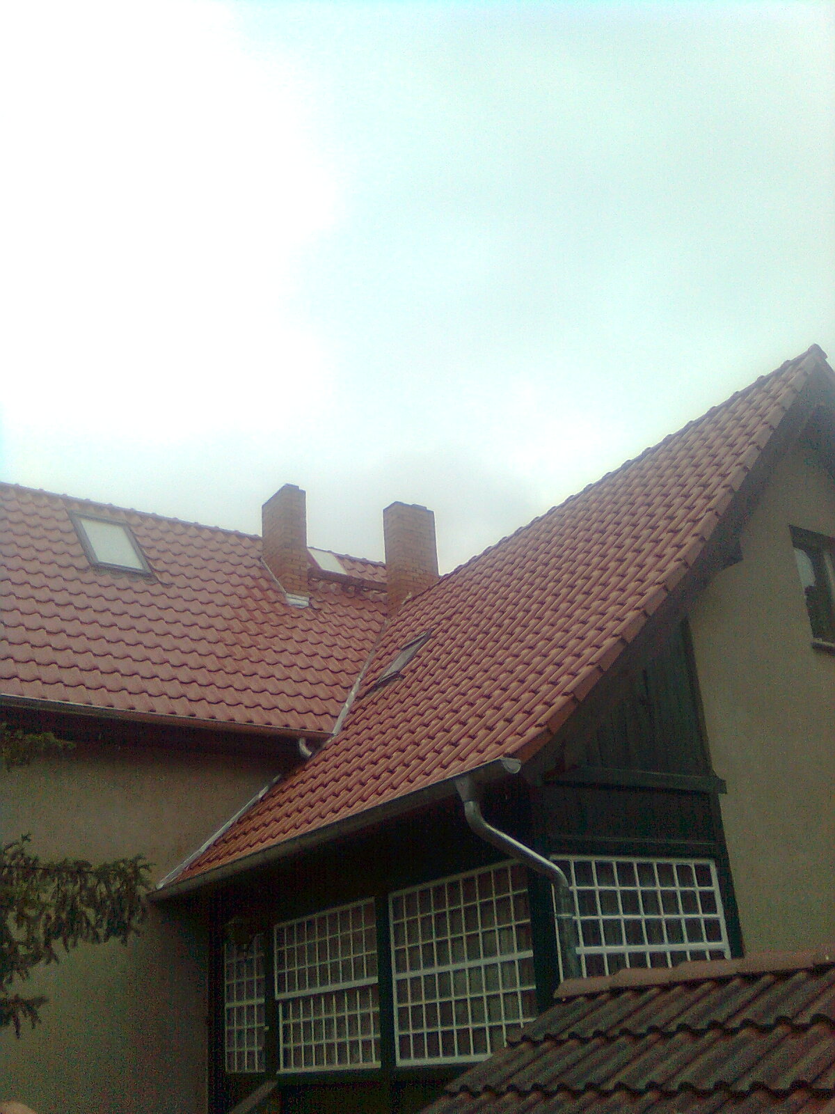 Dachtest Bild